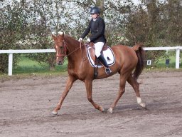 IMG_7846_web